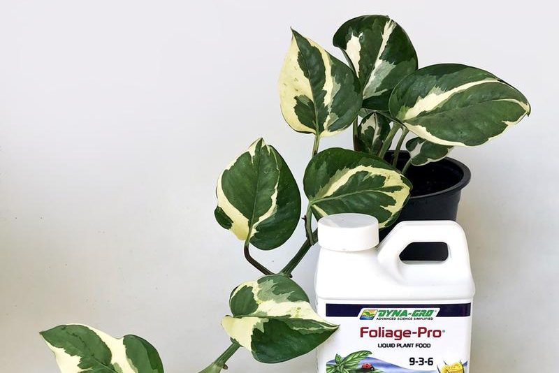 Dyna-Gro Foliage-Pro 9-3-6