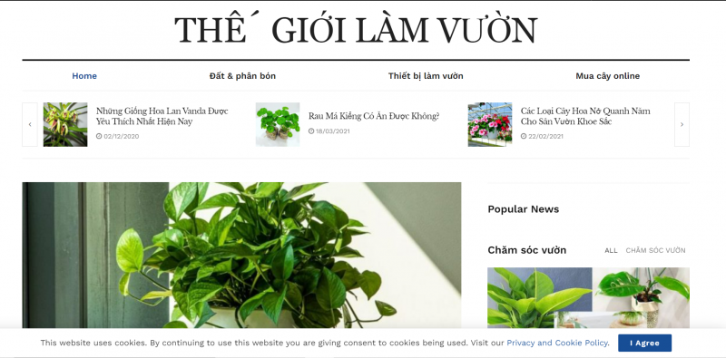 trang web hướng dẫn chăm sóc cây cảnh - thegioilamvuon.vn